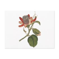 Vintage Passion Flower