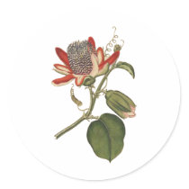 Vintage Passion Flower