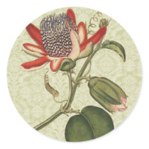 Vintage Passion Flower