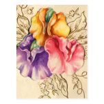 Vintage Pastel Flowers Post Cards