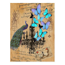 vintage peacock butterfly Paris fashion Post Card