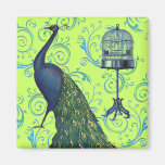 Vintage Peacock & Cage Magnet