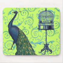 Vintage Peacock & Cage