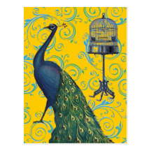 Vintage Peacock & Cage Post Cards