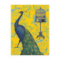 Vintage Peacock & Cage postcards