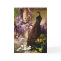 Vintage Peacock Cards