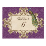 Vintage Peacock & Etchings, Table Number Card Post Cards