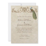 Vintage Peacock & Etchings Wedding Invitation