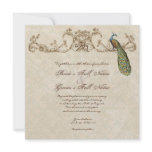 Vintage Peacock & Etchings Wedding Invitation