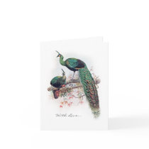 Vintage Peacock Notecard