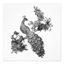 Vintage Peacock on Branch T-shirts and Gifts Personalized Announcements