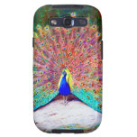 Vintage Peacock Painting