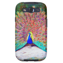 Vintage Peacock Painting