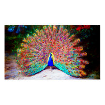 Vintage Peacock Painting Business Card Template