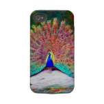 VINTAGE PEACOCK PAINTING TOUGH IPHONE 4 CASES