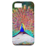 Vintage Peacock Painting Case For The iPhone 5