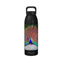 Vintage Peacock Painting Drinking Bottle