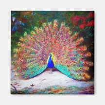 Vintage Peacock Painting Magnets