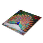 Vintage Peacock Painting Tiles