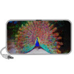 Vintage Peacock Painting Travelling Speaker