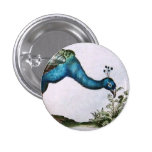 Vintage Peacock Pinback Button