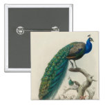 Vintage Peacock Pins