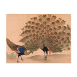 Vintage Peacock postcards