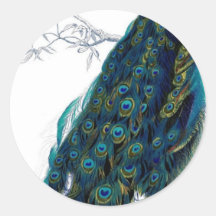 Vintage Peacock Round Sticker