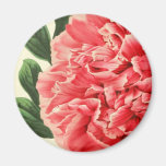 Vintage Peony / Vintage Pfingstrose Magnets