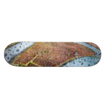 Vintage Pictorial Map of New York City (1879) Skate Deck