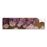 Vintage Pink and Purple Bell Flowers bumper stickers