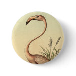 Vintage Pink Flamingo Illustration buttons