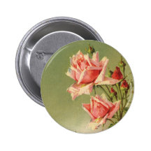 Vintage Pink Garden Roses for Valentine's Day