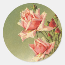Vintage Pink Garden Roses for Valentine's Day Sticker