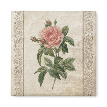 Vintage Pink Rose magnet