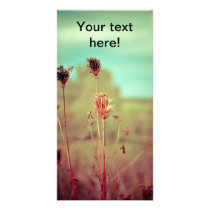 Vintage plants