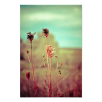 Vintage plants