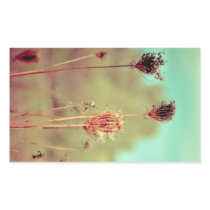 Vintage plants