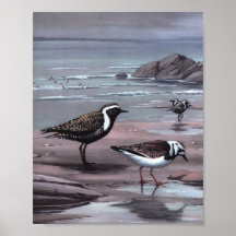 Vintage Plover Bird Art Poster