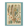 Vintage Plumes