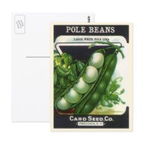 Vintage Pole Lima Beans Seed Packet Label Art Postcard
