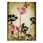 Vintage poppies Postcard