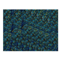 Vintage Pretty Peacock Bird Feathers Wallpaper Postcards