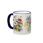 Vintage Purple Asters mugs