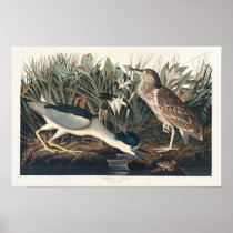 Vintage Qua-Bird Audubon Poster Print