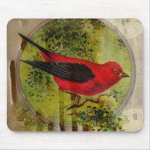 Vintage Red Bird Mouse Pads