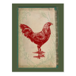 Vintage Red Rooster Shabby Chic Grunge Chicken Post Card