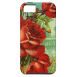 Vintage Red Roses iPhone 5 Case
