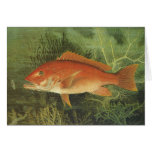 Vintage Red Snapper Fish Under the Ocean cards