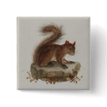 Vintage Red Squirrel Button